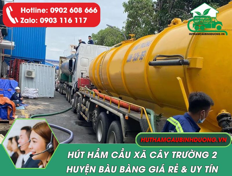 hut-ham-cau-xa-cay-truong-2-gia-re